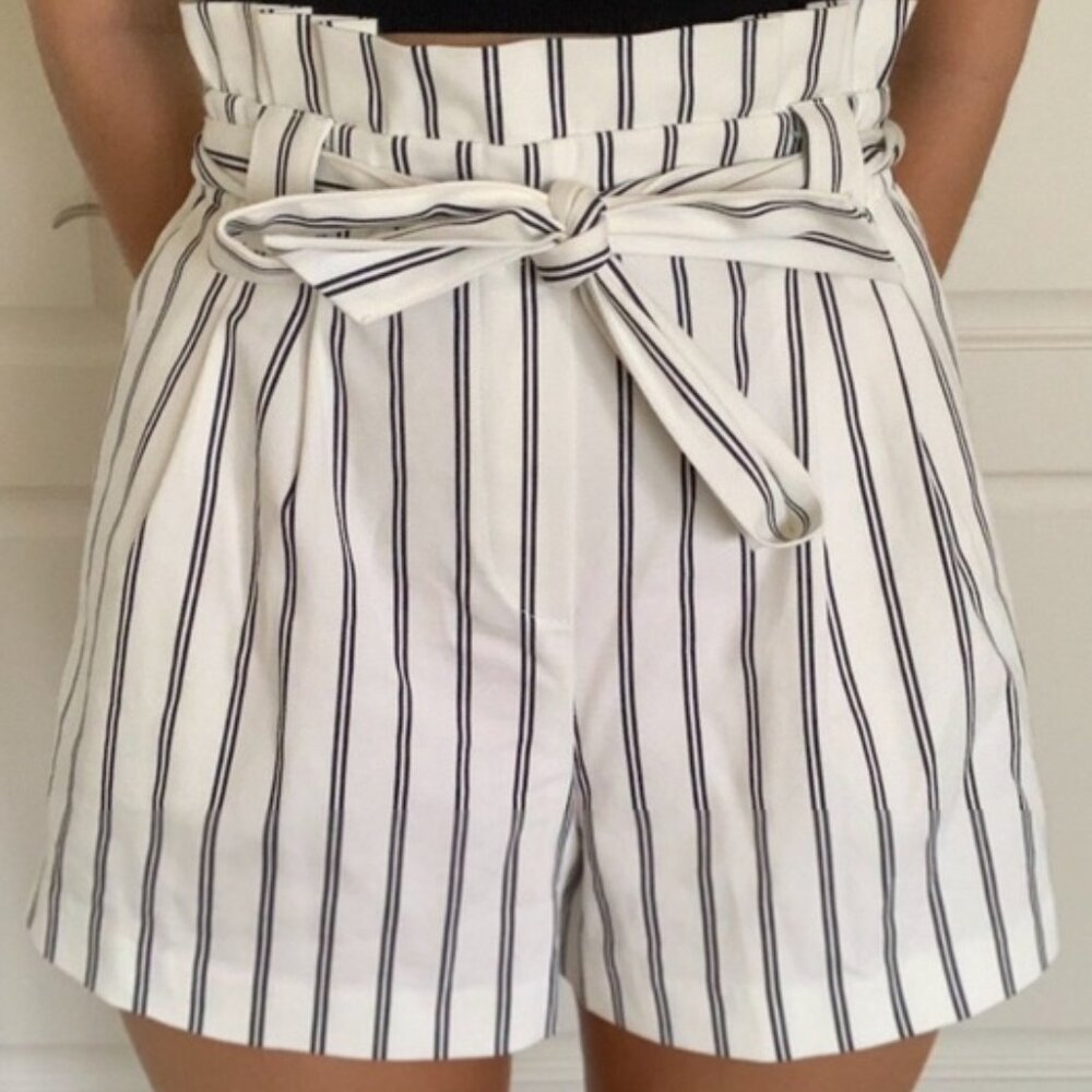 Zara Striped Shorts